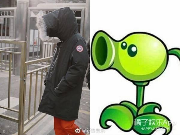 喜喜吃瓜娱乐